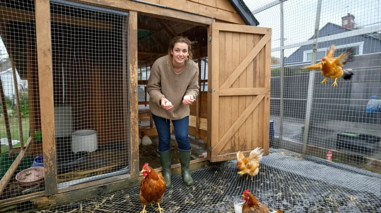 On vous vend le rêve des œufs frais sans dire les vrais inconvénients d’avoir une poule au jardin On vous vend le rêve des œufs frais sans dire les vrais inconvénients d’avoir une poule au jardin